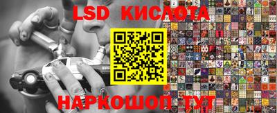 прущие грибы Ирбит