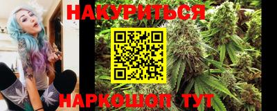 стафф Камышлов