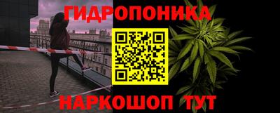 стафф Камышлов