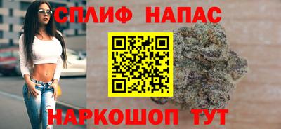 стафф Камышлов
