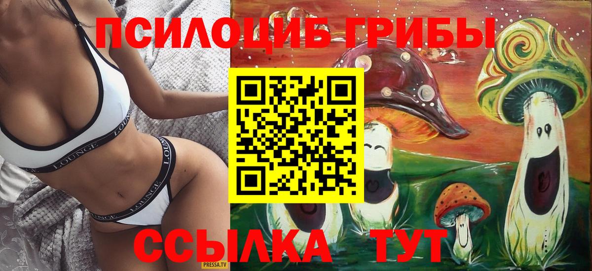 Галлюциногенные грибы мицелий  Вход с VPN  Кудрово 