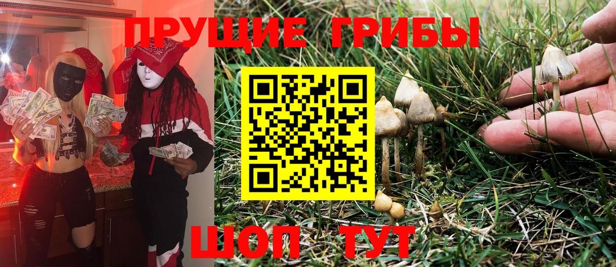 Псилоцибиновые грибы мухоморы Кудрово
